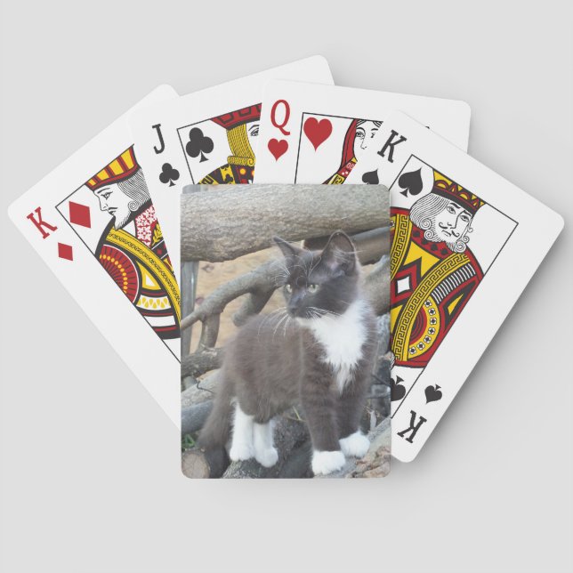 Tuxedo Kitten Poker Cards (Back)