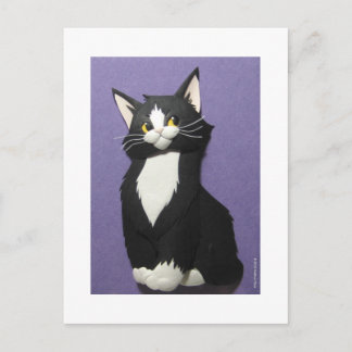 Tuxedo Kitten Postcard
