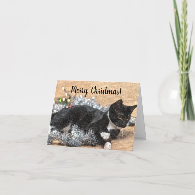 Tuxedo Kitten Tinsel and Lights Christmas Card (Front)