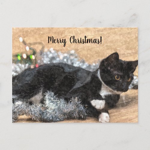 Tuxedo Kitten Tinsel and Lights Christmas Postard Postcard