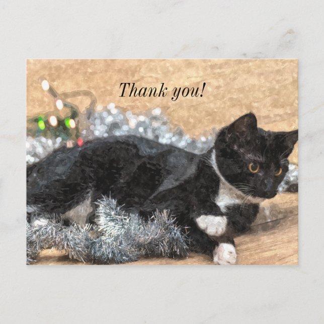 Tuxedo Kitten Tinsel and Lights Thank You Postard Postcard (Front)