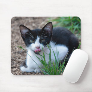 Tuxedo kitten with tongue sticking out mouse pad