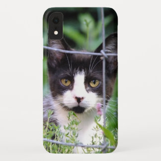 Tuxedo Kitten Xena in the Garden iPhone XR Case