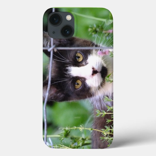 Tuxedo Kitten Xena in the Garden iPad Case (Back)