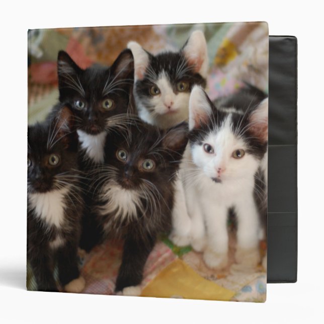 Tuxedo Kittens 3 Ring Binder (Front/Inside)