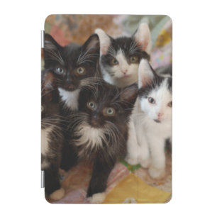 Tuxedo Kittens iPad Mini Cover