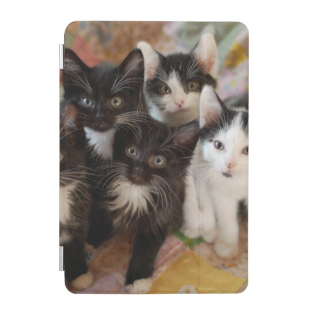 Tuxedo Kittens iPad Mini Cover (Front)