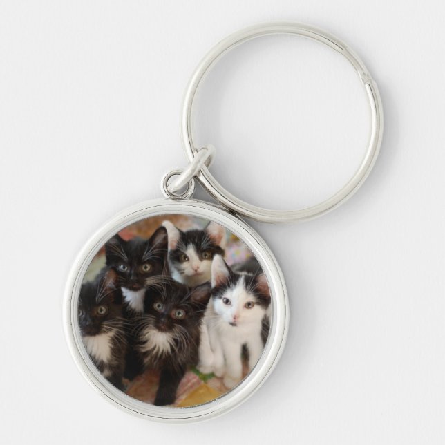 Tuxedo Kittens Keychain (Front)