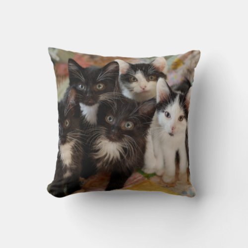 Tuxedo Kittens Throw Pillow