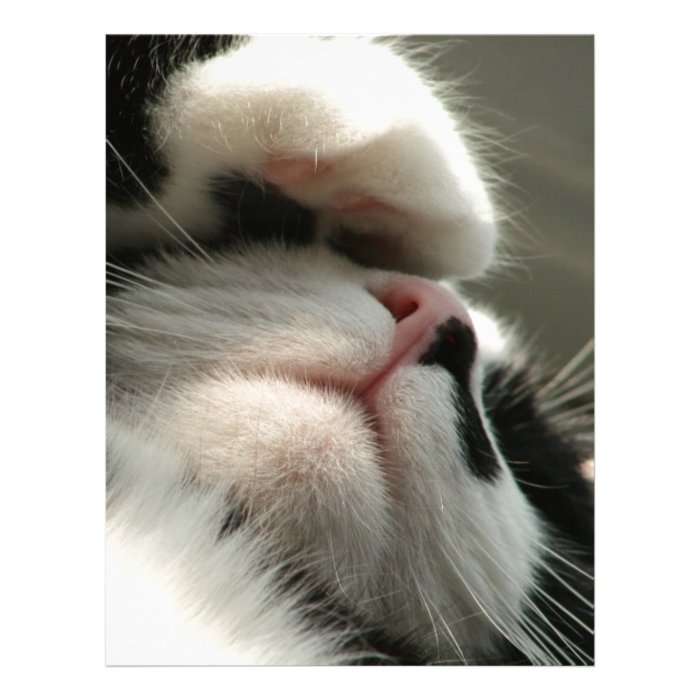 Tuxedo Kitty Has A Sick Headache Letterhead Template