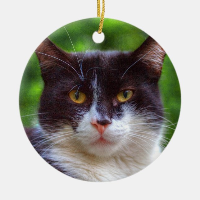 Tuxedo Portrait Ceramic Ornament (Front)