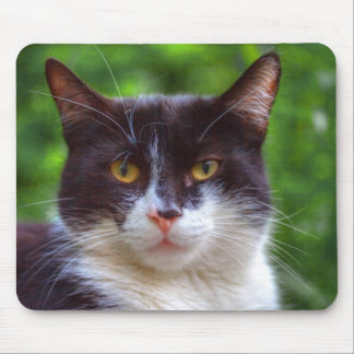 Tuxedo Portrait Mouse Pad