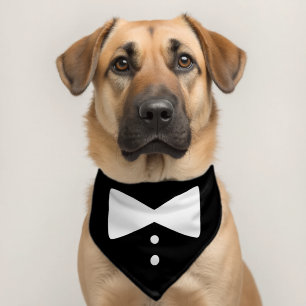 Tuxedo Suit with Bow Wedding Engagement Birthday  Pet Bandana Collar