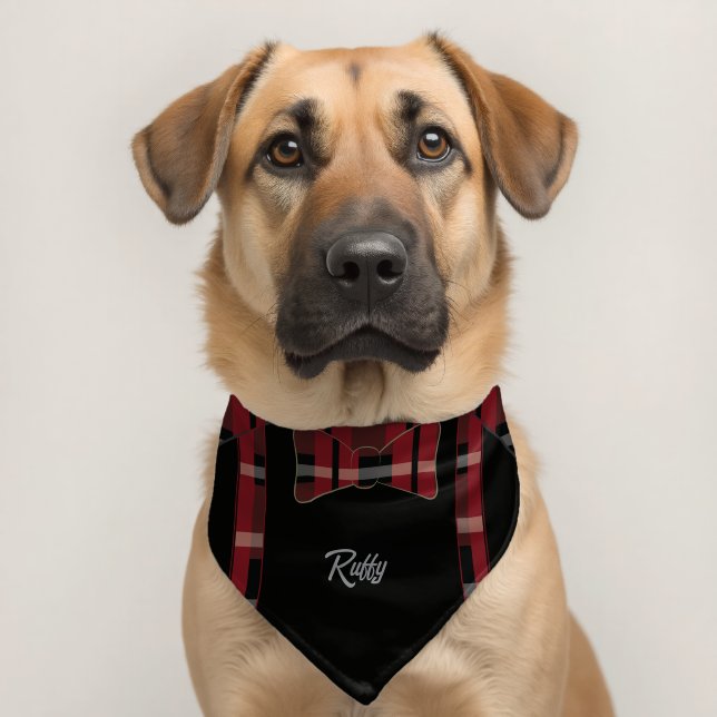 Tuxedo Suspenders Plaid Name Pet Bandana Collar (Dog 2)