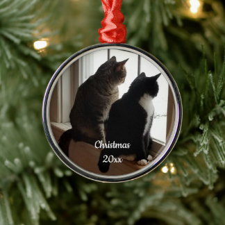 Tuxedo & Tabby Cats Window Christmas Ornament
