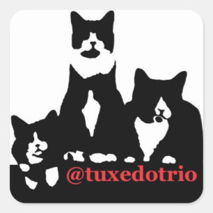 TuxedoTrio Square Sticker