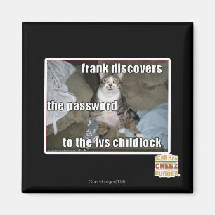 TV Childlock Magnet