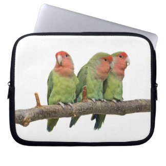 Tweet Trio Laptop Sleeve (Choose Colour)