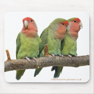 Tweet Trio Mousemat Mouse Pad