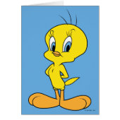 TWEETY™ | Clever Bird (Front)