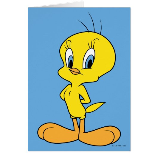 TWEETY™ | Clever Bird Cards (Front)
