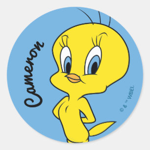 TWEETY™ Clever Bird Classic Round Sticker