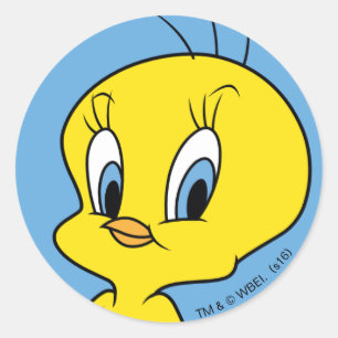 TWEETY™   Clever Bird Classic Round Sticker