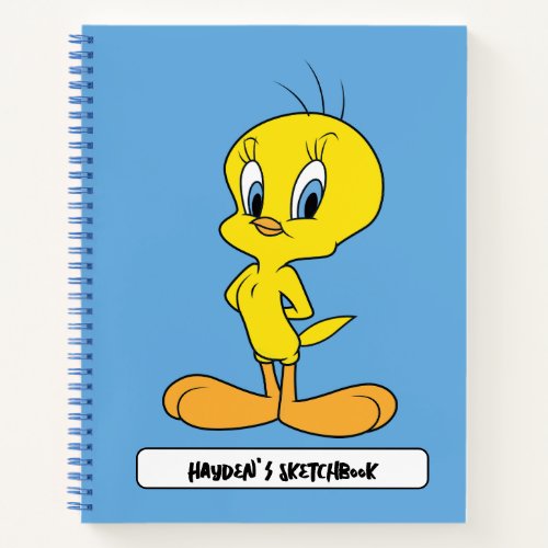 TWEETYâ  Clever Bird Drawing Notebook