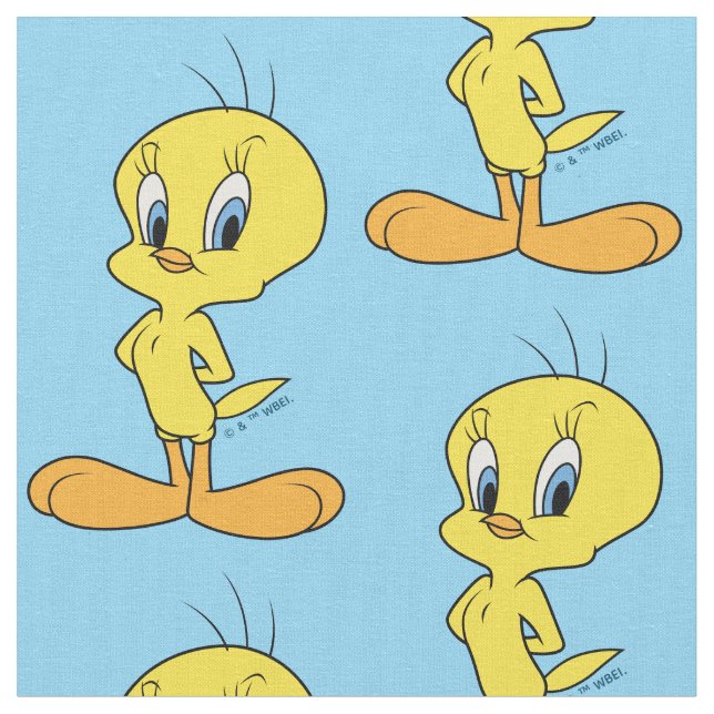 TWEETY™ | Clever Bird Fabric (Close Up)