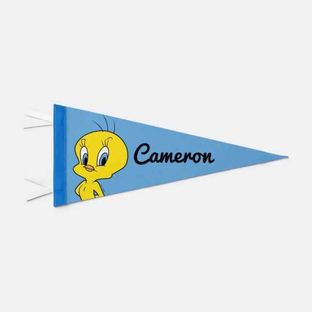 Tweety™ | Clever Bird Pennant Flag (Front)