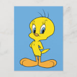 TWEETY™