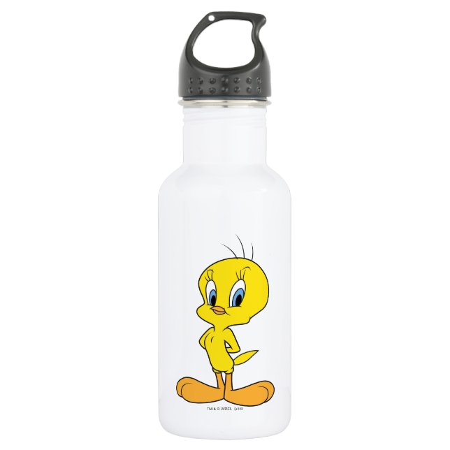 TWEETY™ | Clever Bird Stainless Steel Water Bottle (Front)