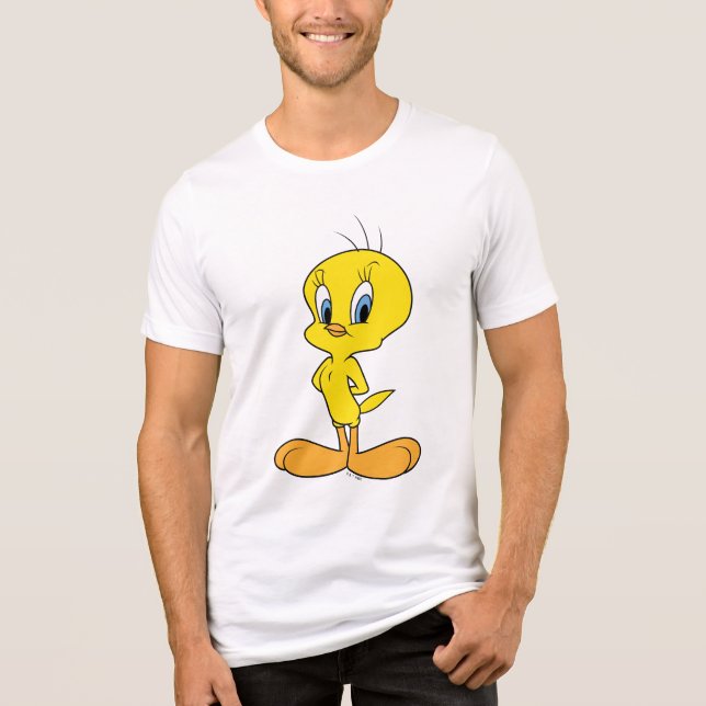 TWEETY™ | Clever Bird Tri-Blend Shirt (Front)