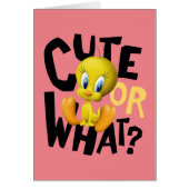 TWEETY™- Cute Or What? (Front)