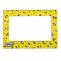 TWEETY™ Face Pattern