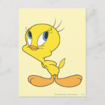 TWEETY™