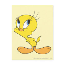 TWEETY™ Hmm Postcard