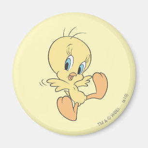 TWEETY™ In The Clouds Pose 13 Magnet