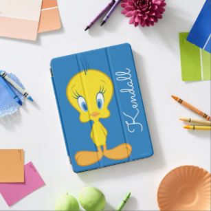 Birds Ipad Cases Covers Zazzle
