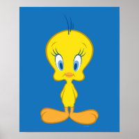 TWEETY™ | Innocent Little Bird