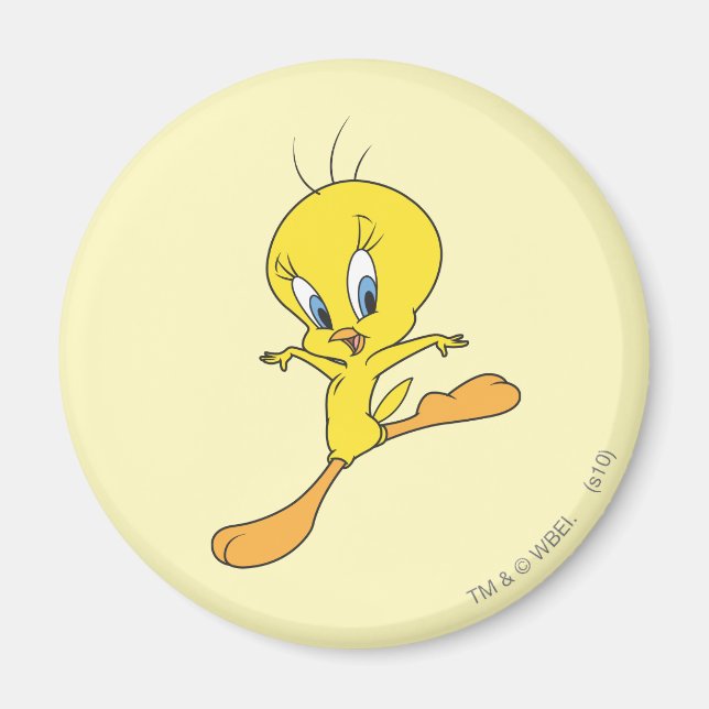 TWEETY™ Landing Magnet (Front)