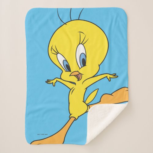 Tweety Landing Sherpa Blanket