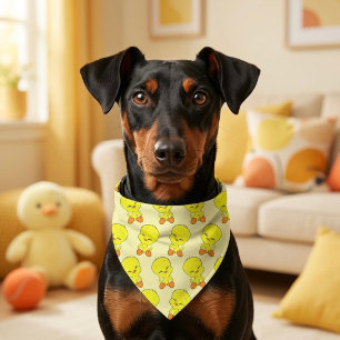 Tweety Pet Bandana Collar