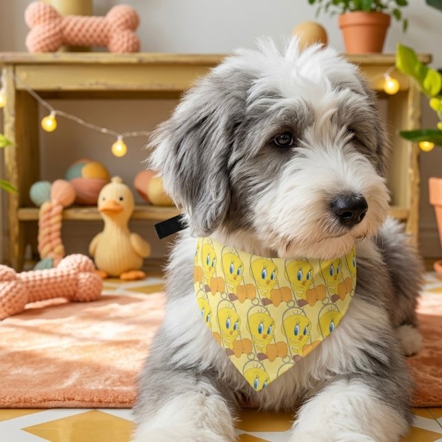 Tweety Pet Bandana Collar (Creator Uploaded)