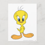 TWEETY™