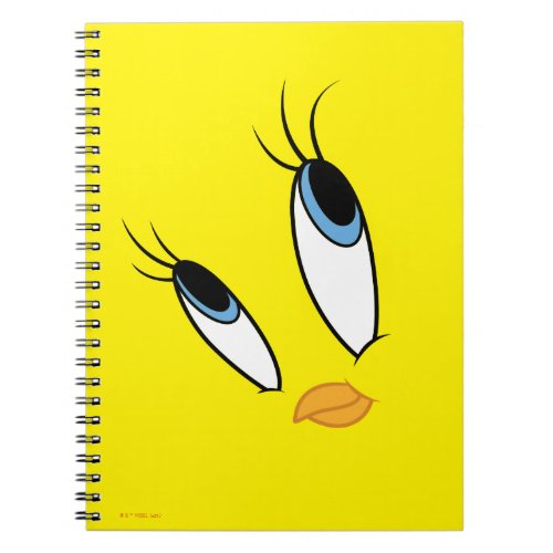 TWEETY Sweet Eyes Notebook