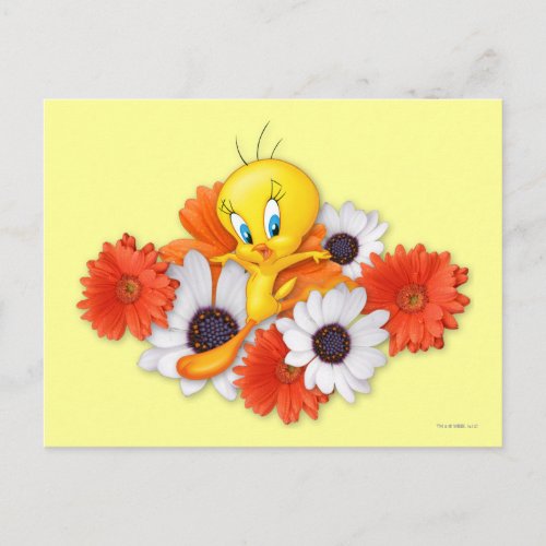 Tweety With Daisies Postcard