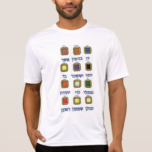 Twelve 12 tribes of Israel Tee Shirt
