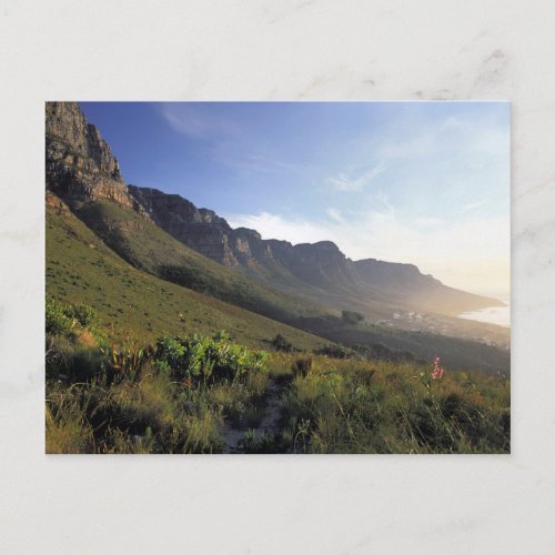 Twelve Apostles Cape Town Western Cape Postcard