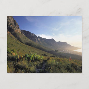 Twelve Apostles, Cape Town, Western Cape Postcard